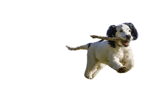 admin ajax 3 removebg preview