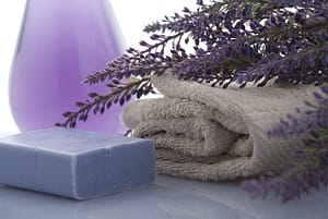 lavender-g990df916e_640